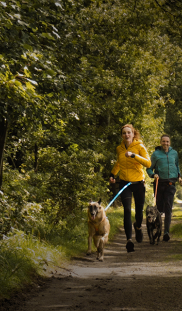 Drei Erwachsene laufen mit Ihren Hunden an CnaiCross Geschirren über einen Walsweg. Die Sonne scheint und alle haben sichtlich Spaß. Foto von Carolin Jütz