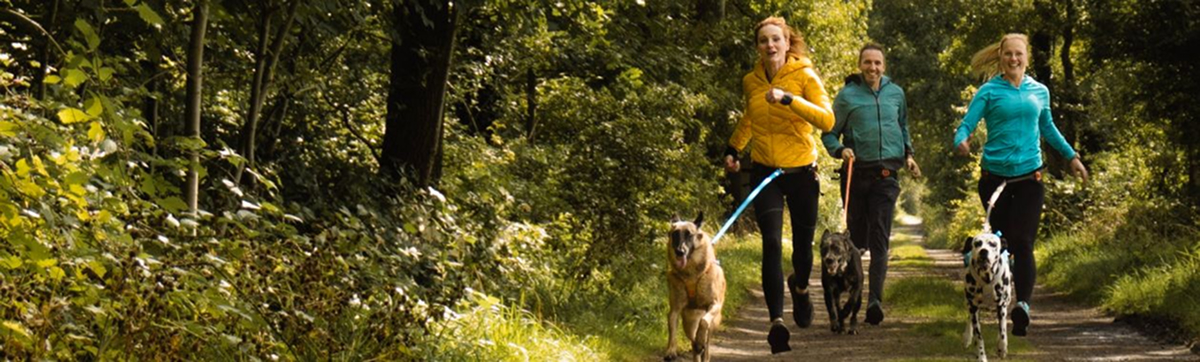 Drei Erwachsene laufen mit Ihren Hunden an CnaiCross Geschirren über einen Walsweg. Die Sonne scheint und alle haben sichtlich Spaß. Foto von Carolin Jütz