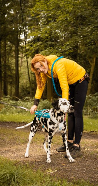 Ramona Teschner trägt eine leuchtend gelbe Jacke und beugt sich leicht über einen stehenden Dalmatiner mit Zuggeschirr um den richtigen Sitz zu prüfen. Bild von Carolin Jütz