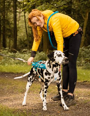 Ramona Teschner trägt eine leuchtend gelbe Jacke und beugt sich leicht über einen stehenden Dalmatiner mit Zuggeschirr um den richtigen Sitz zu prüfen. Bild von Carolin Jütz