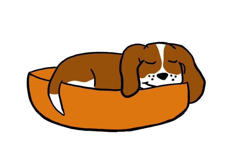 beagle jagdhund ausbildung for sale